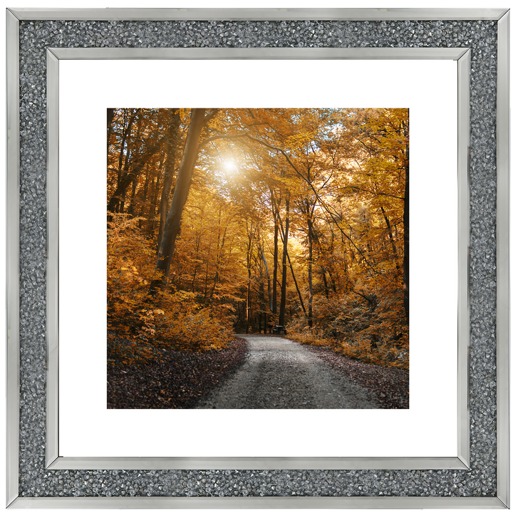 Walkway through yellow leafs