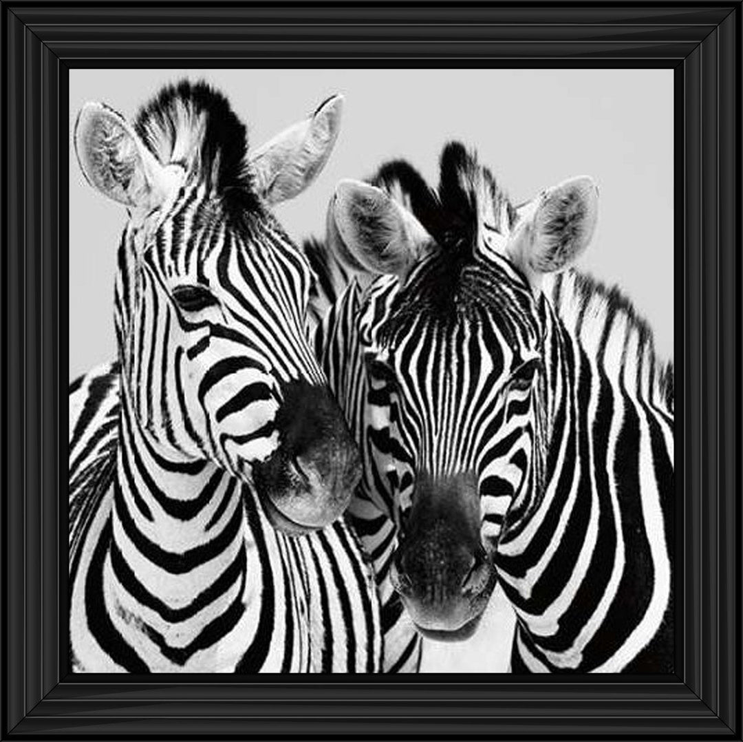 PNP103 Zebra Duo HD