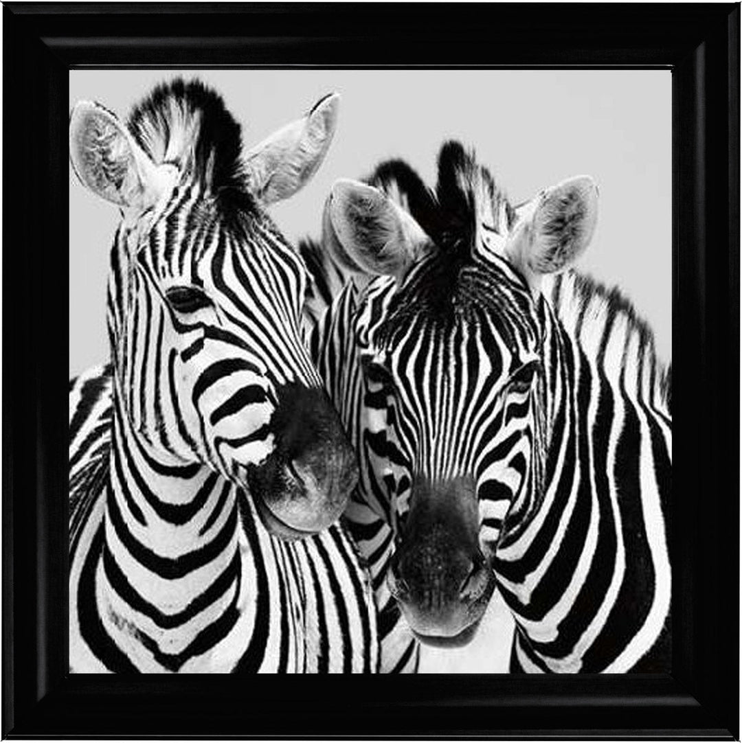 PNP103 Zebra Duo HD