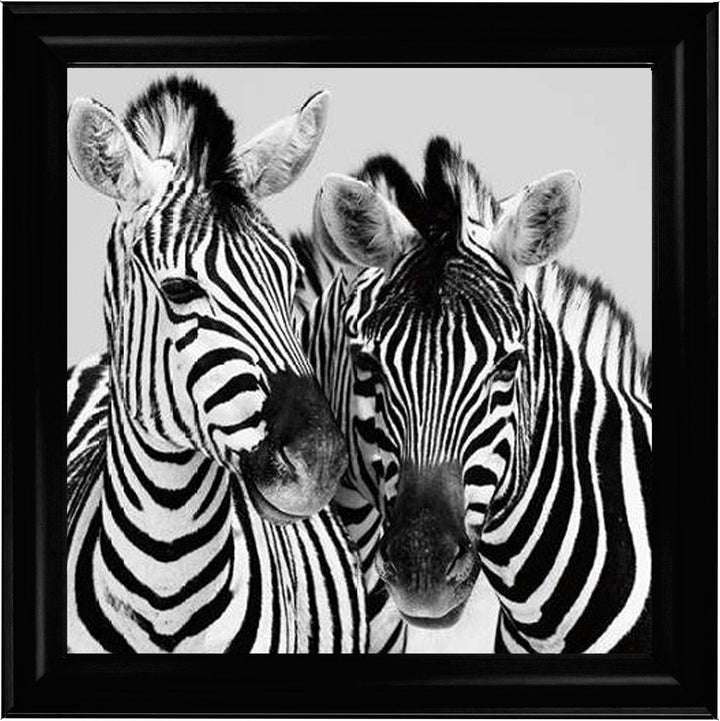 PNP103 Zebra Duo HD