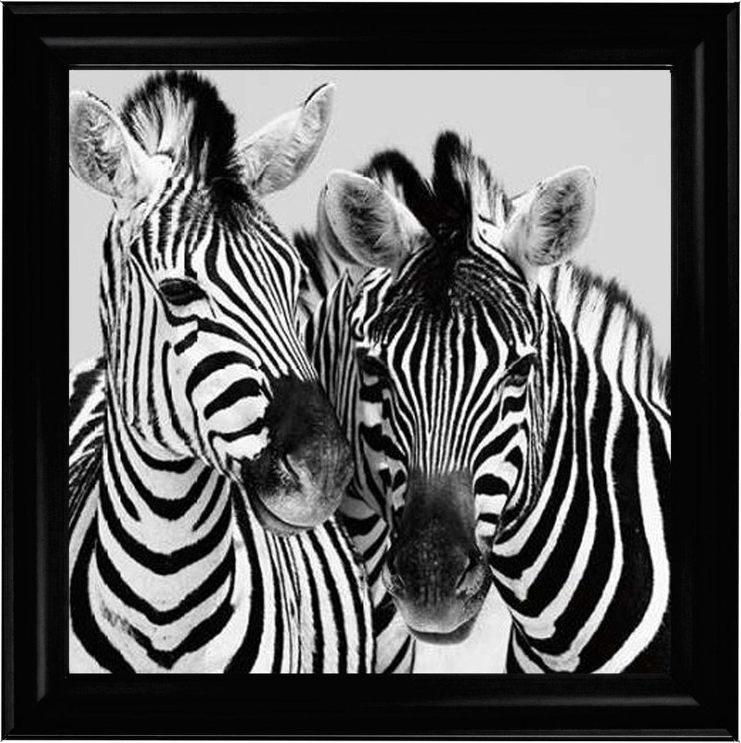 PNP103 Zebra Duo HD