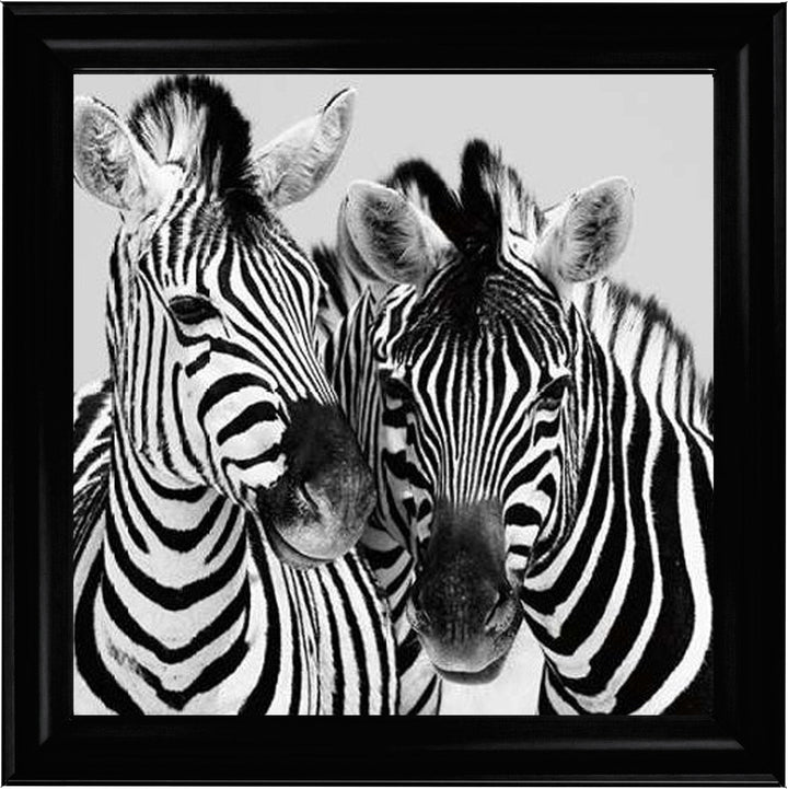 PNP103 Zebra Duo HD