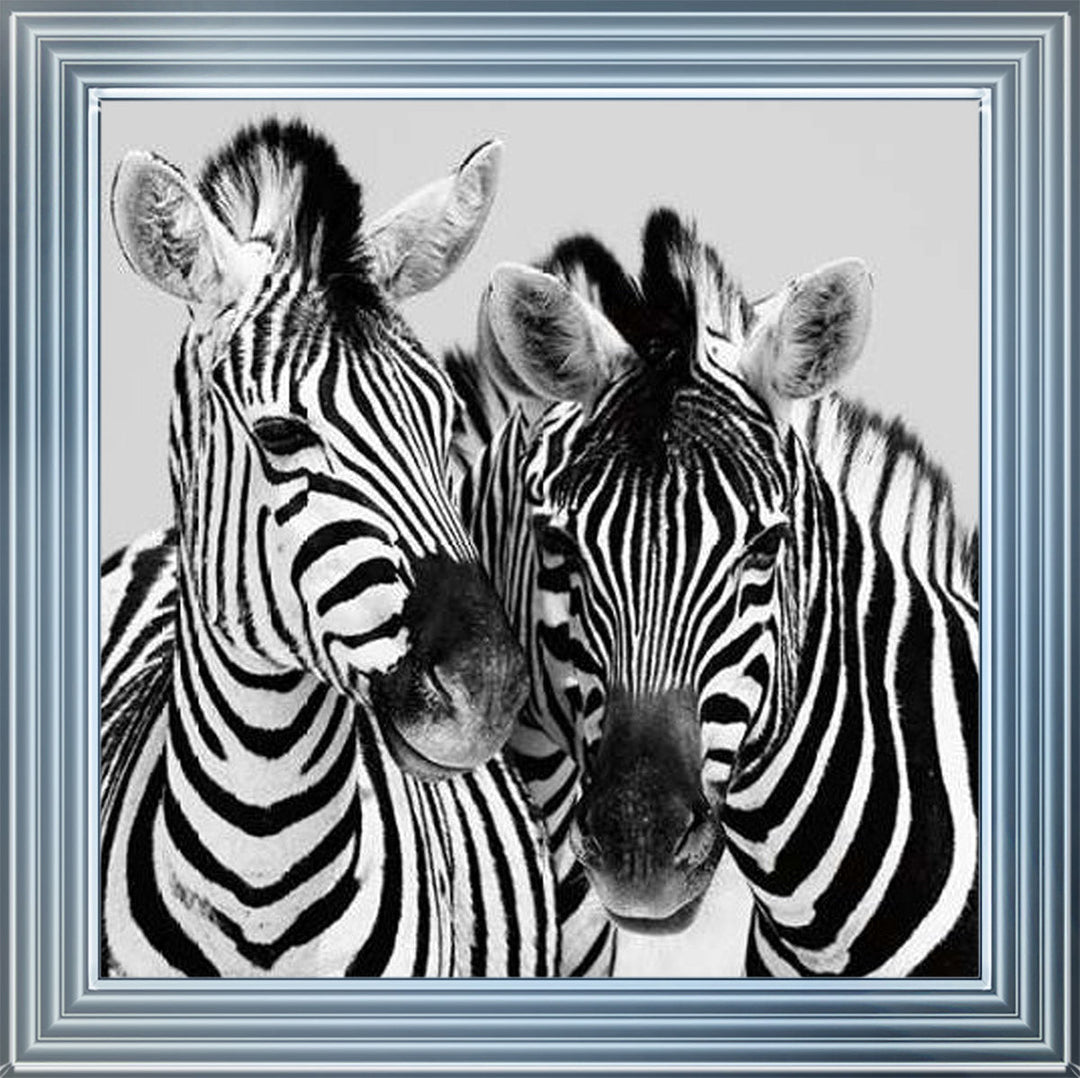 PNP103 Zebra Duo HD