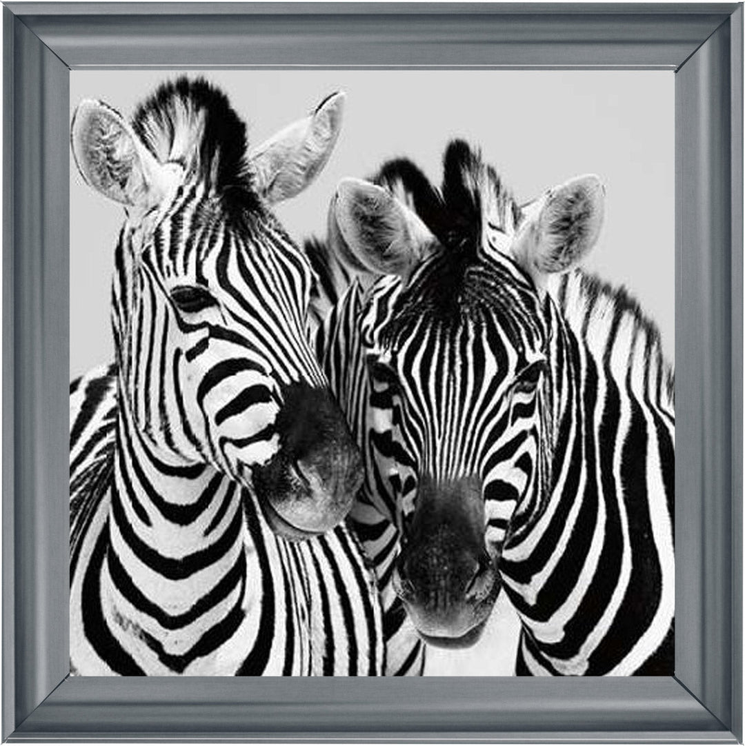 PNP103 Zebra Duo HD