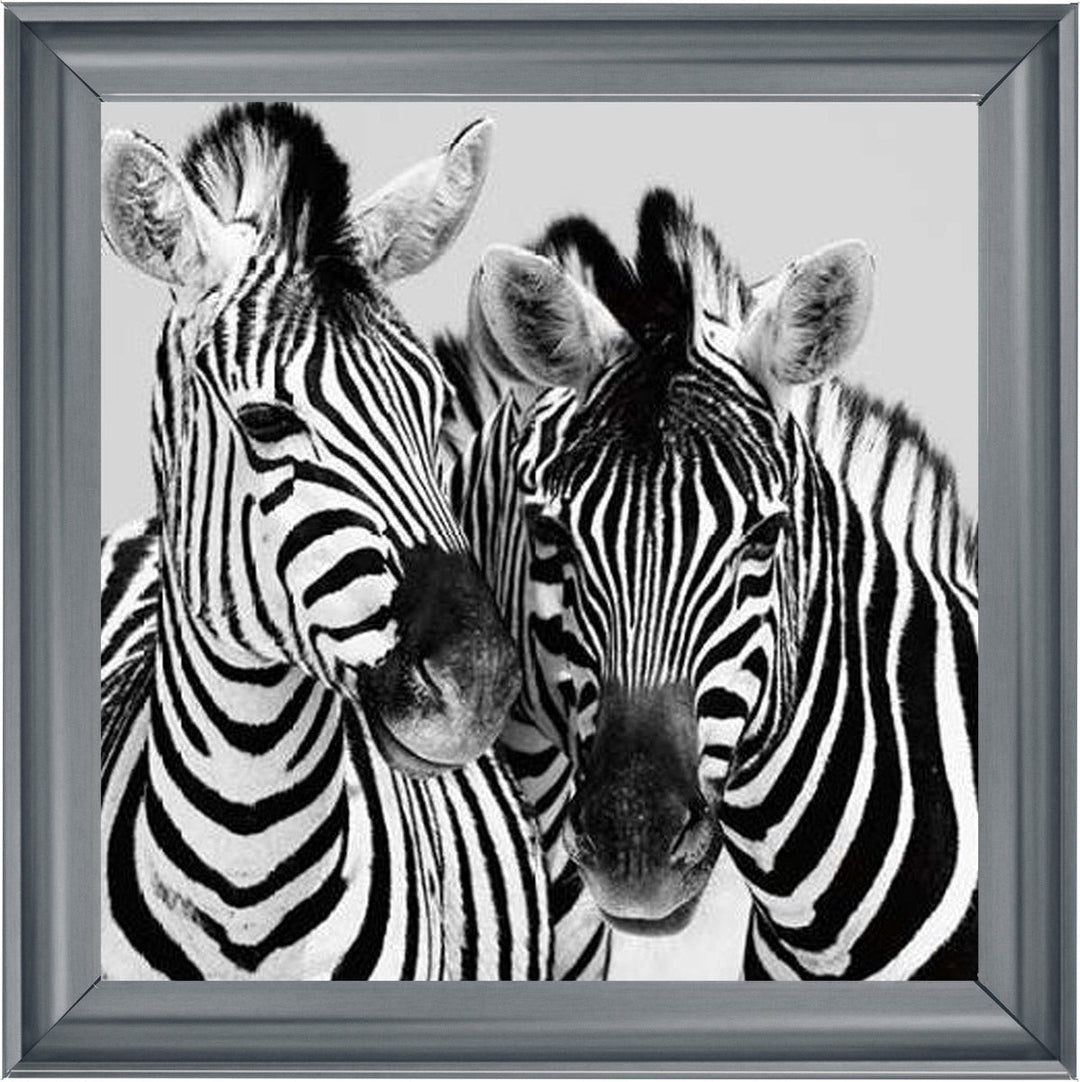 PNP103 Zebra Duo HD