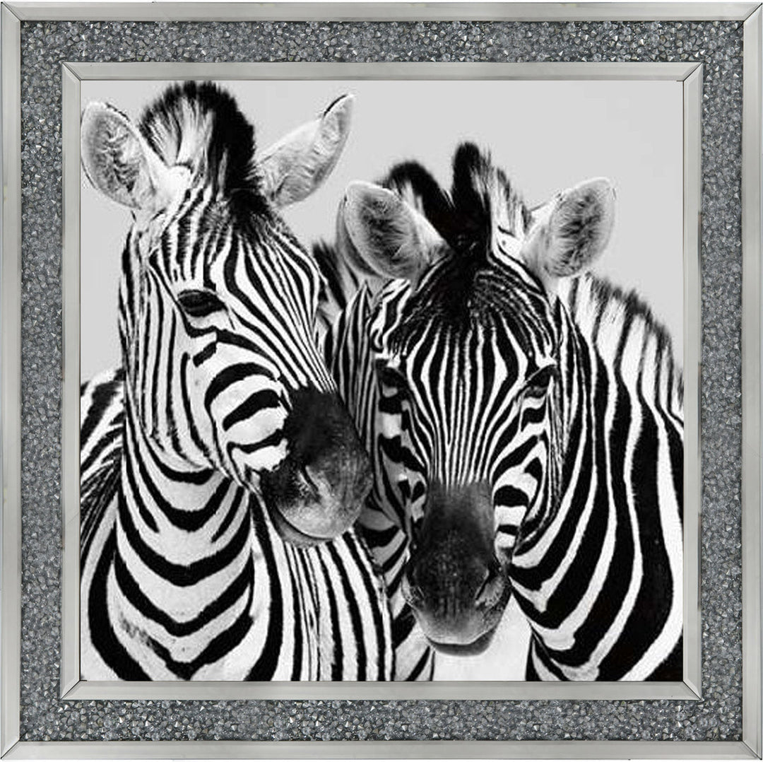 PNP103 Zebra Duo HD