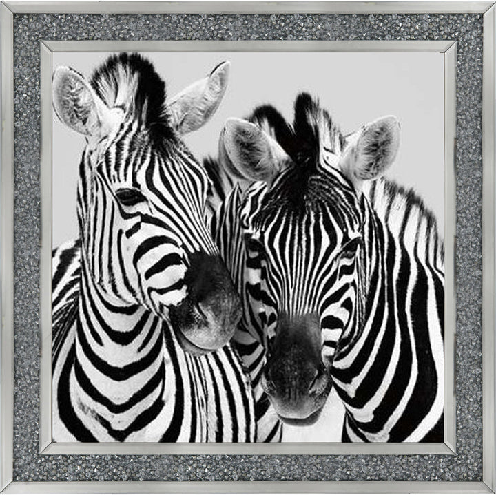 PNP103 Zebra Duo HD