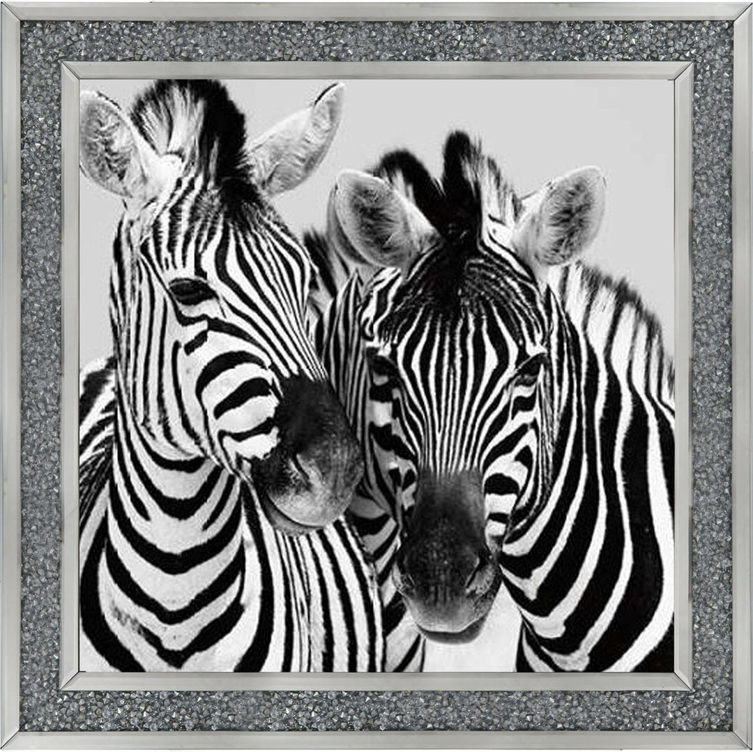 PNP103 Zebra Duo HD