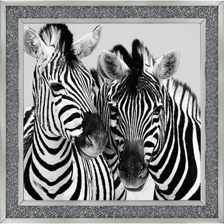 PNP103 Zebra Duo HD
