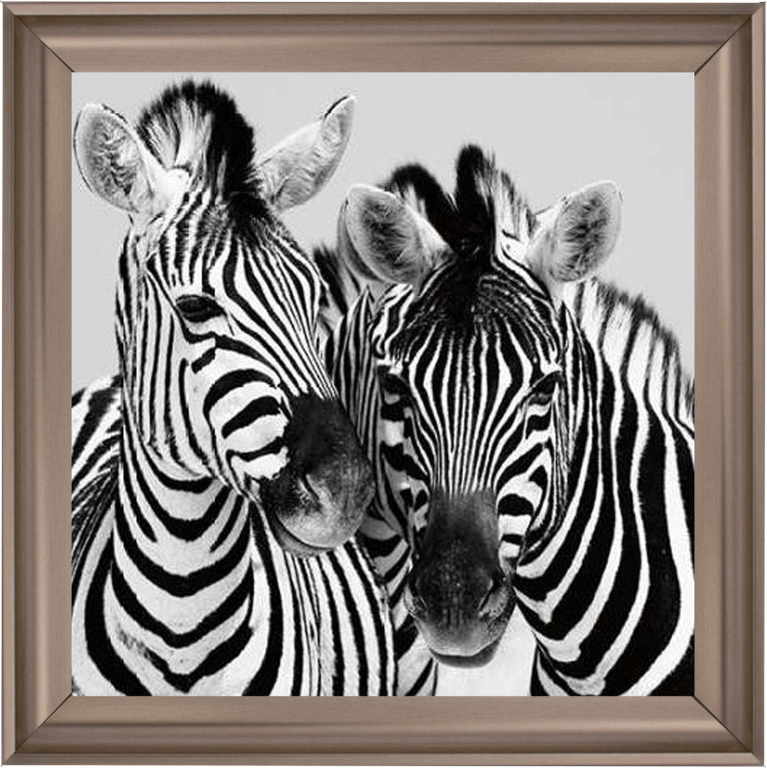 PNP103 Zebra Duo HD