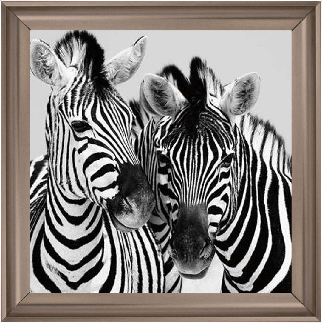 PNP103 Zebra Duo HD