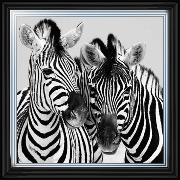 PNP103 Zebra Duo HD
