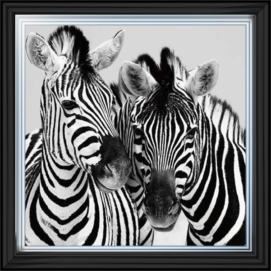 PNP103 Zebra Duo HD