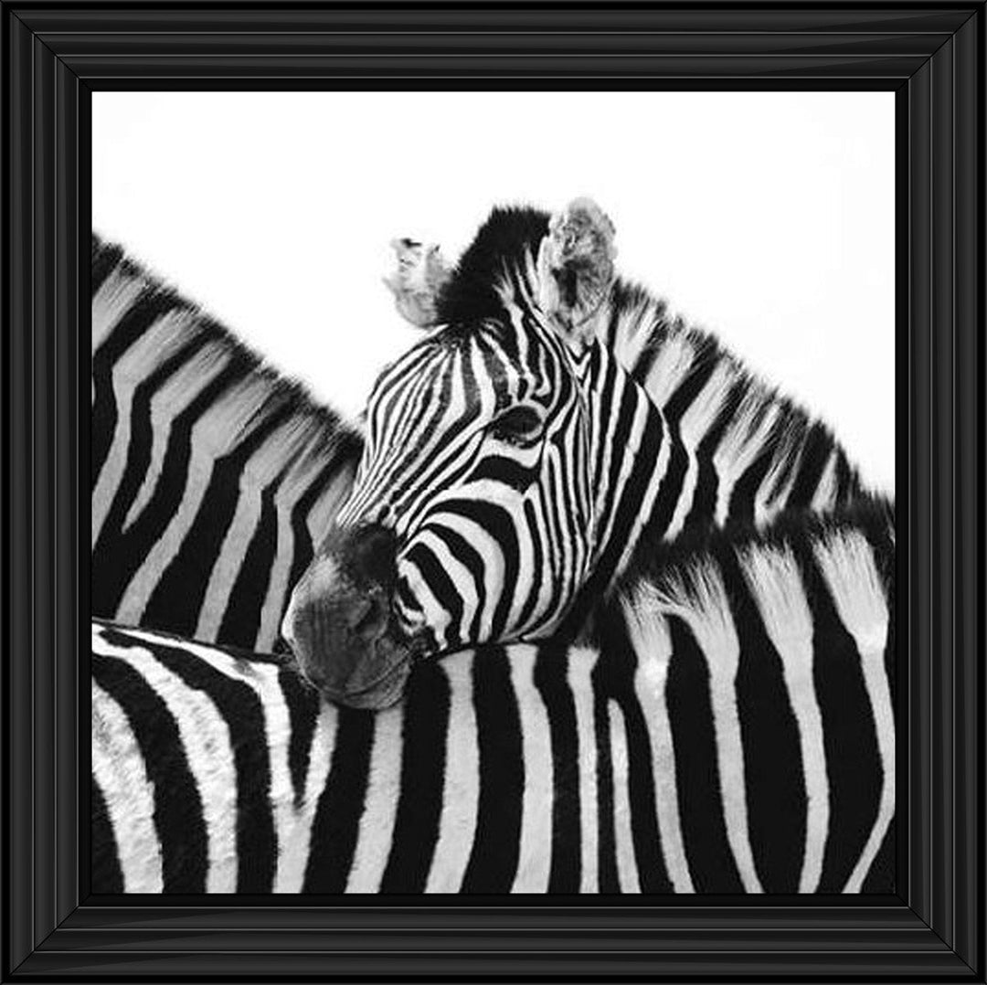 PNP110 Zebra Hug