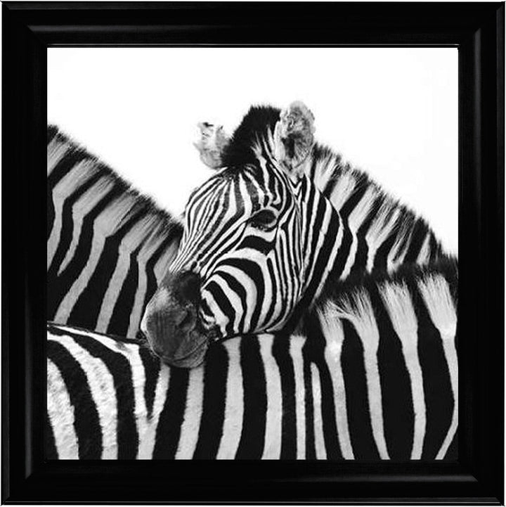 PNP110 Zebra Hug