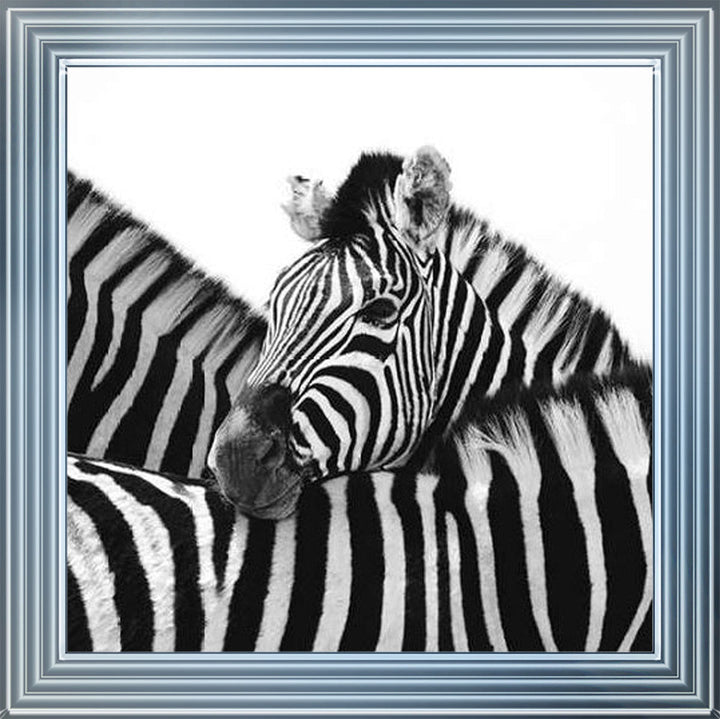 PNP110 Zebra Hug