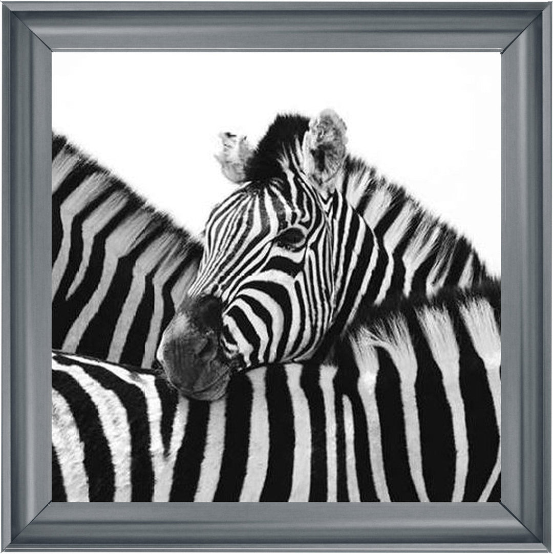 PNP110 Zebra Hug