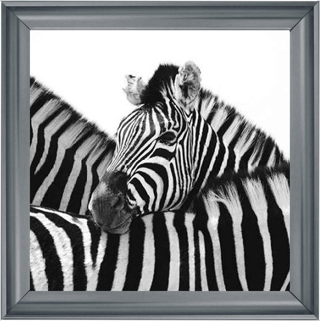 PNP110 Zebra Hug
