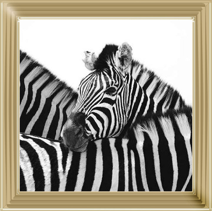 PNP110 Zebra Hug