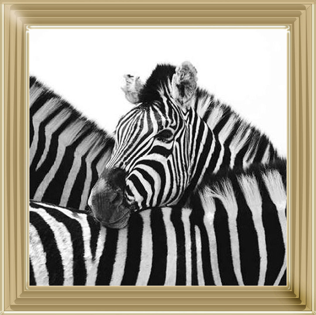 PNP110 Zebra Hug