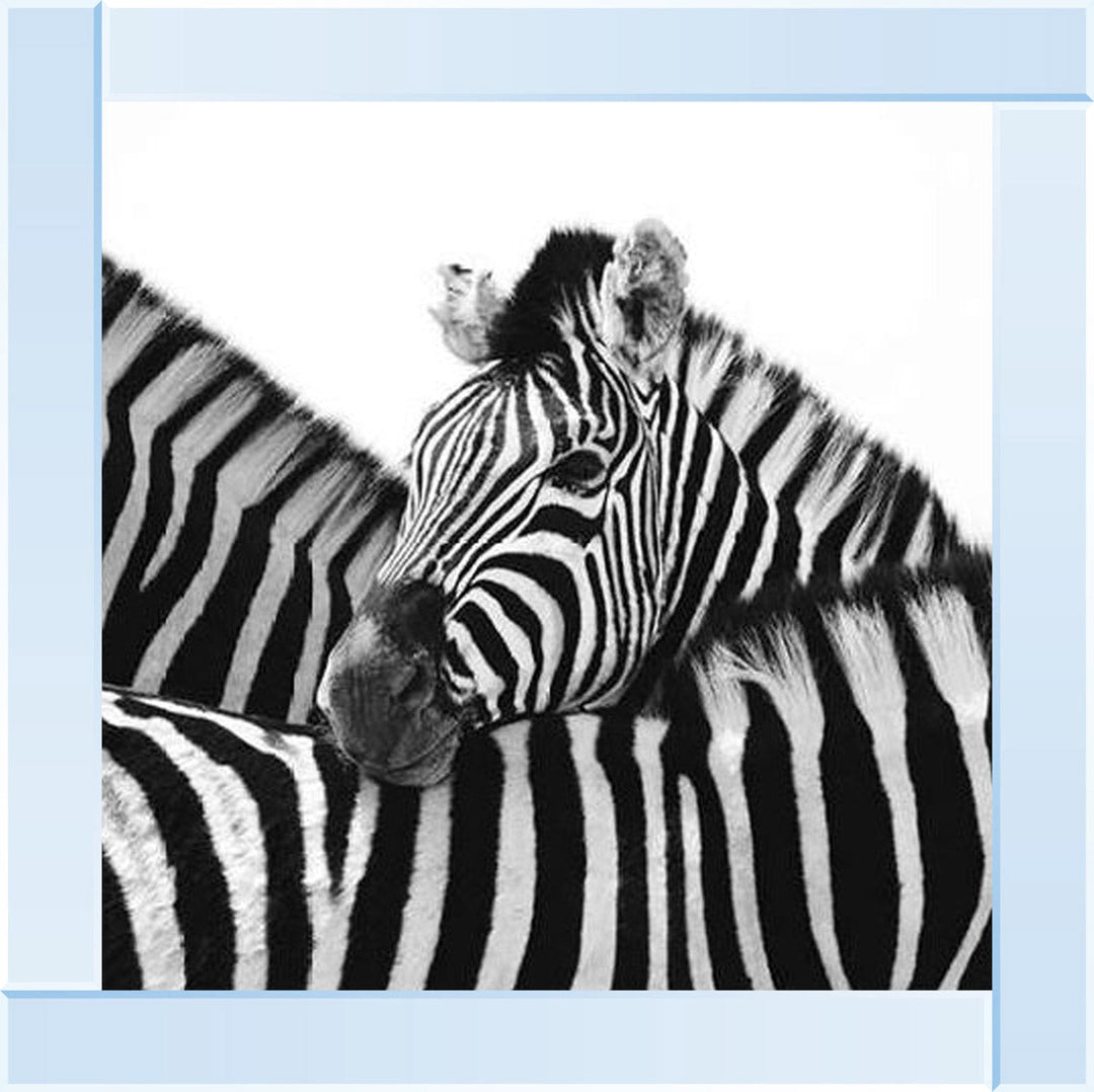 PNP110 Zebra Hug