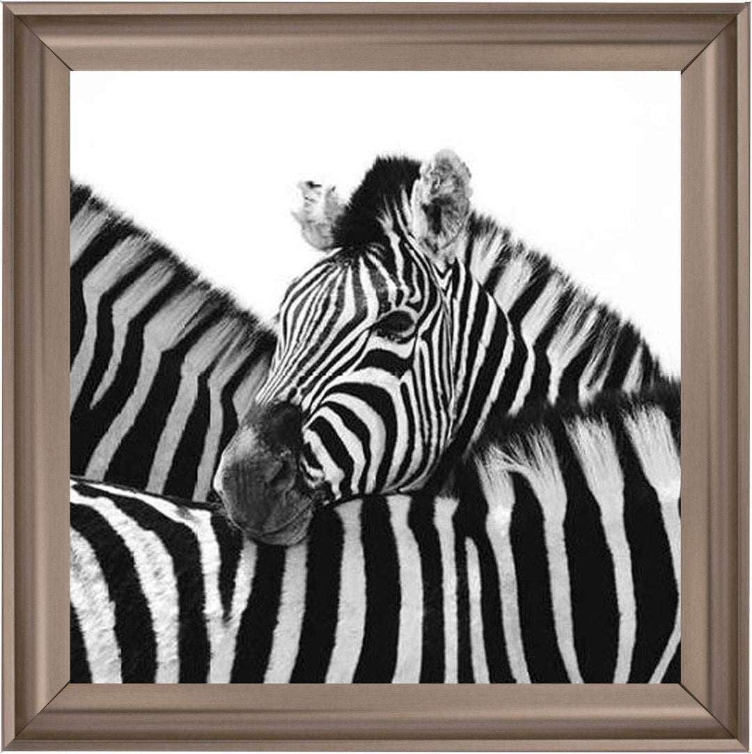 PNP110 Zebra Hug