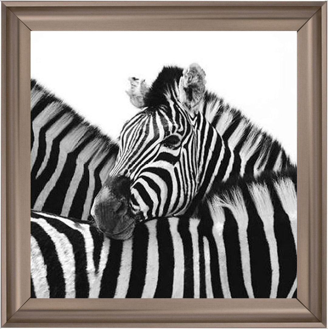 PNP110 Zebra Hug