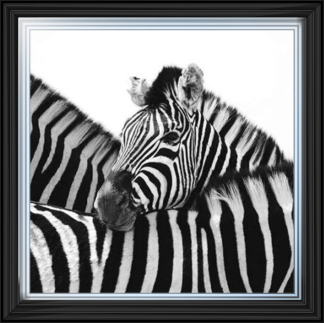PNP110 Zebra Hug