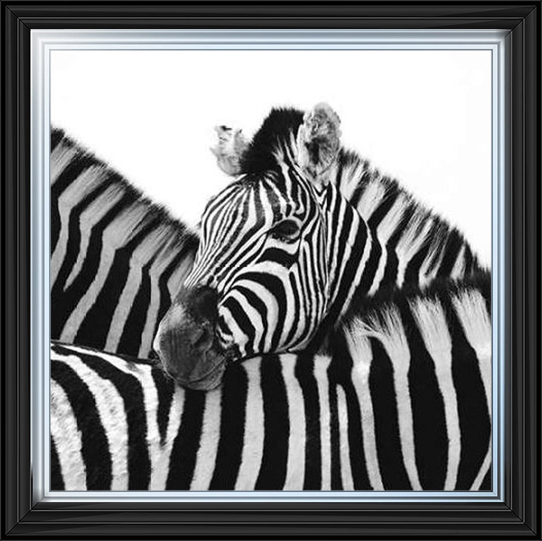 PNP110 Zebra Hug