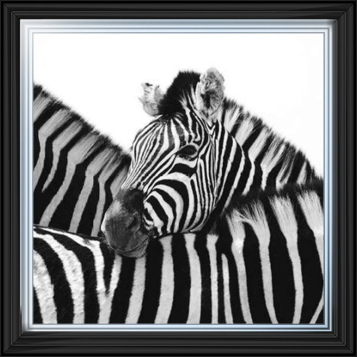 PNP110 Zebra Hug