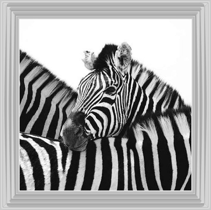 PNP110 Zebra Hug