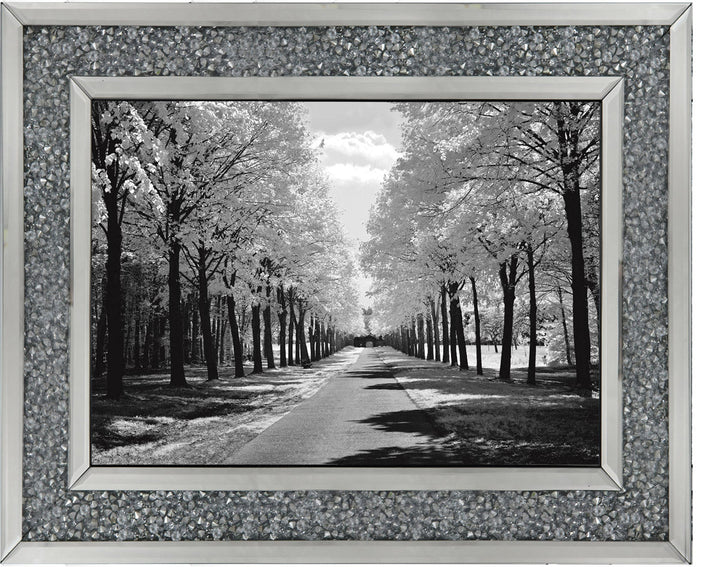 Trees in Winter Driveway Monochrome