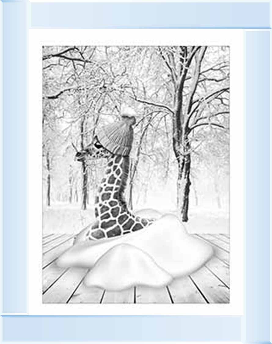 AN752-B&W Giraffe on Winter Snow l
