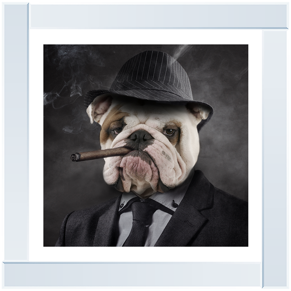 AN183 Gangster Bulldog (border)