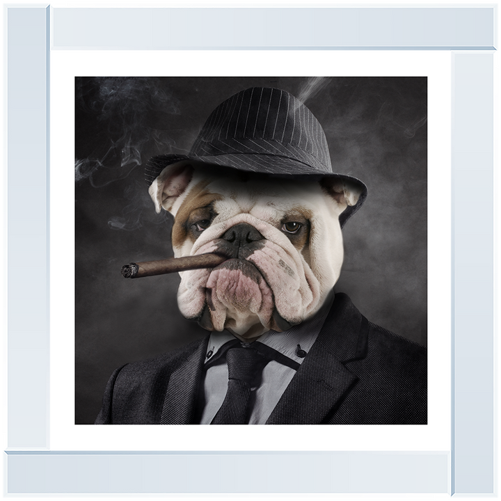 AN183 Gangster Bulldog (border)