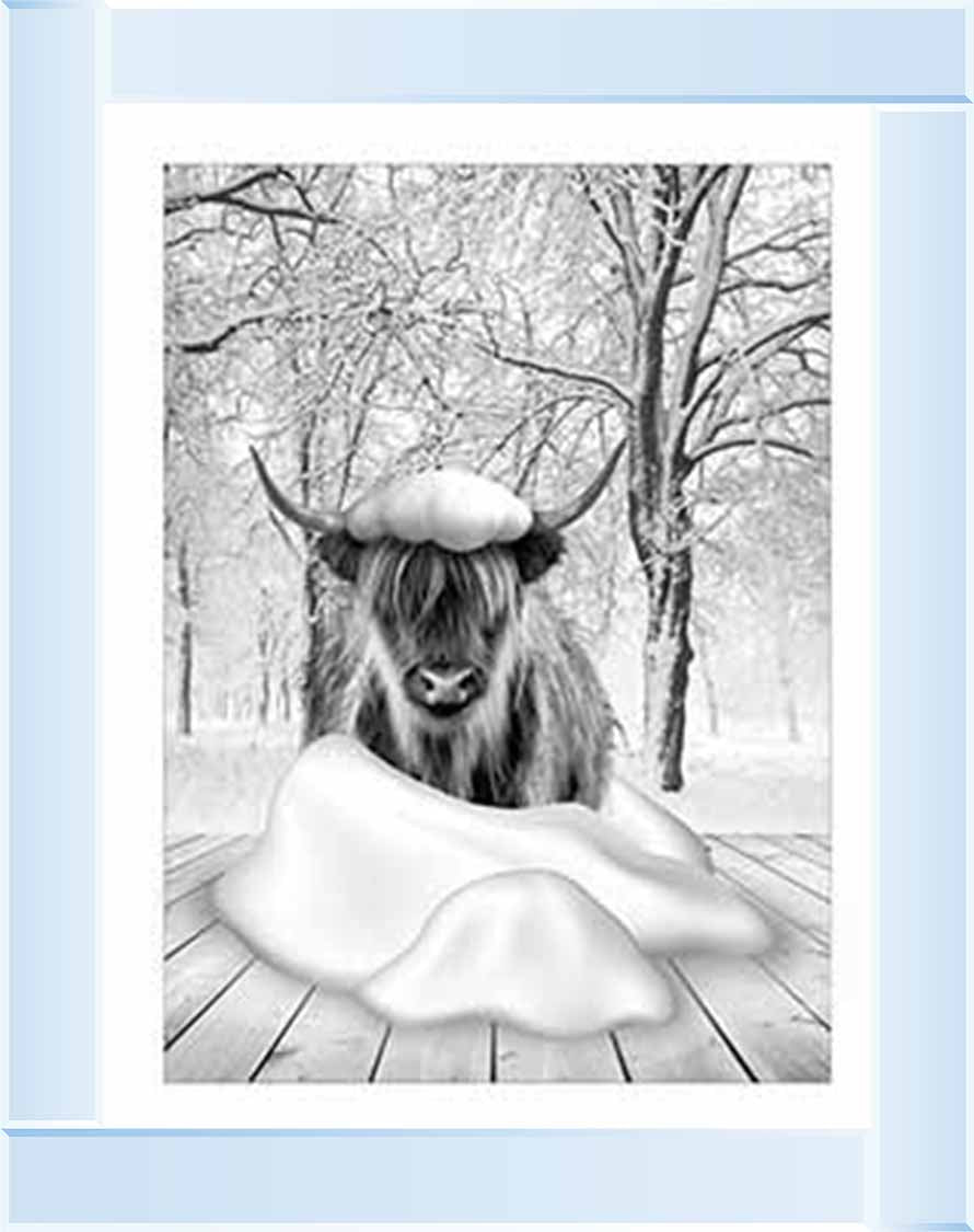 AN750-B&W Highland cow on Winter Snow l