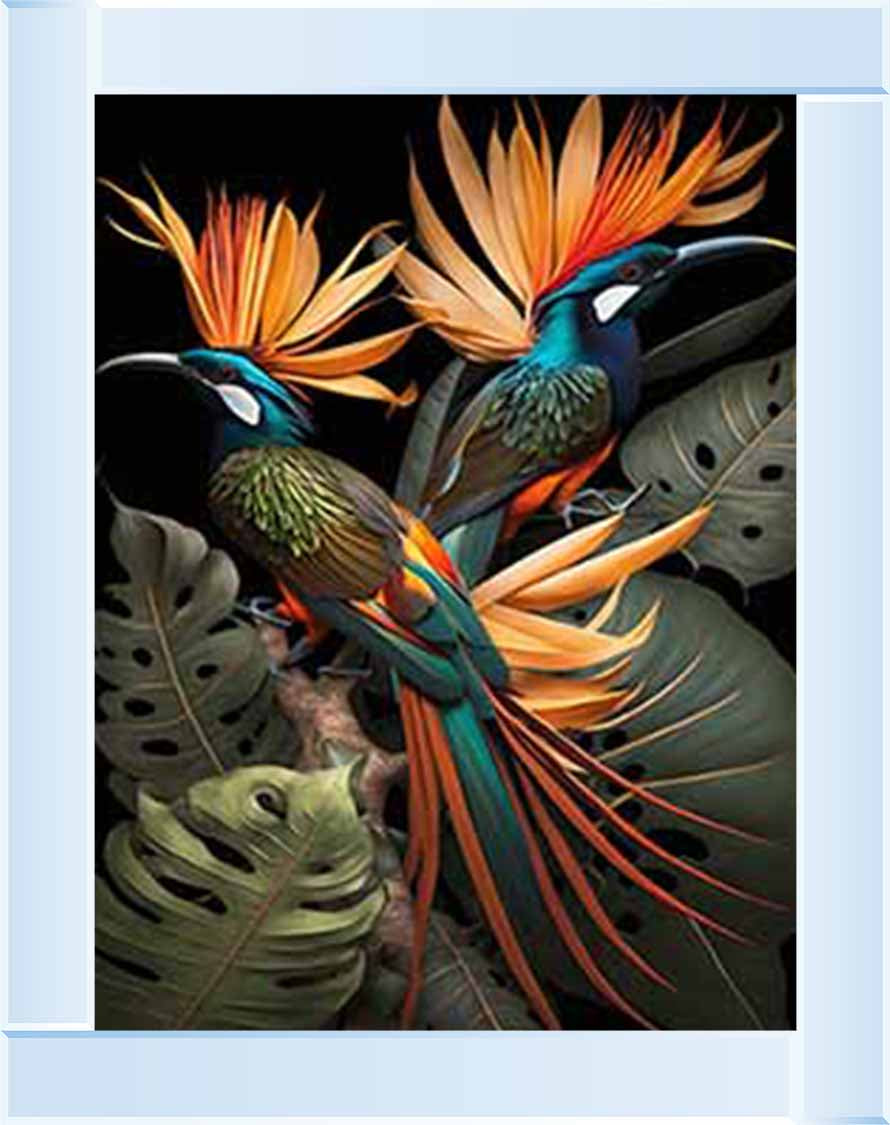 AN1053 Birds From Paradise ||