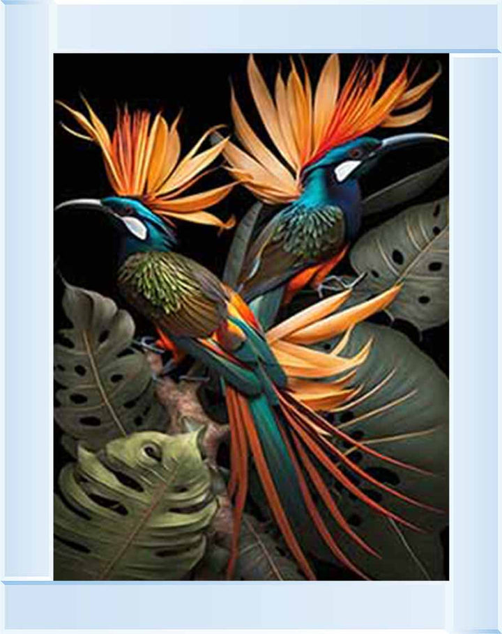 AN1053 Birds From Paradise ||