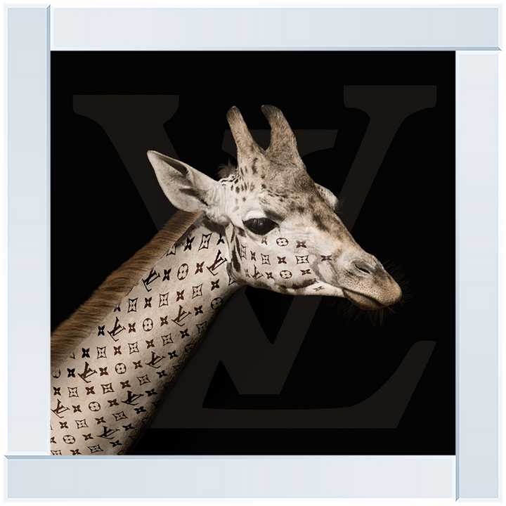 FS319 Fashion Giraffe
