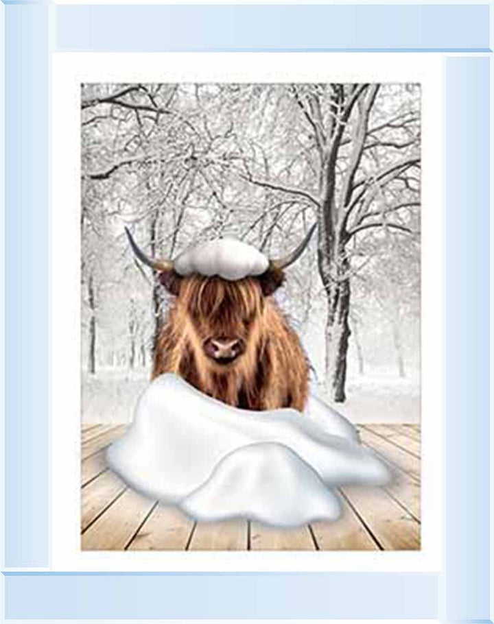 AN750-C Highland cow on Winter Snow ll