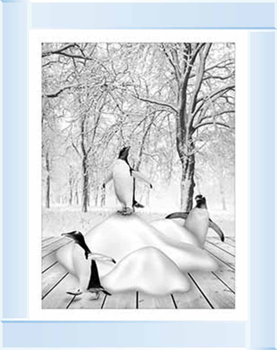 AN746-B&W Pandas on Winter Snow l