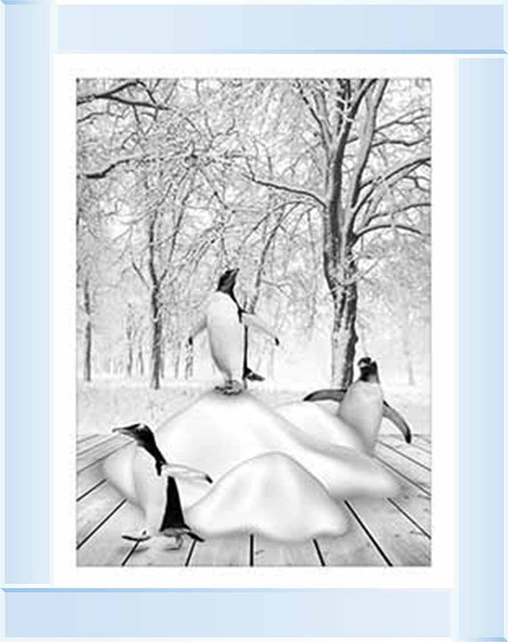 AN746-B&W Pandas on Winter Snow l