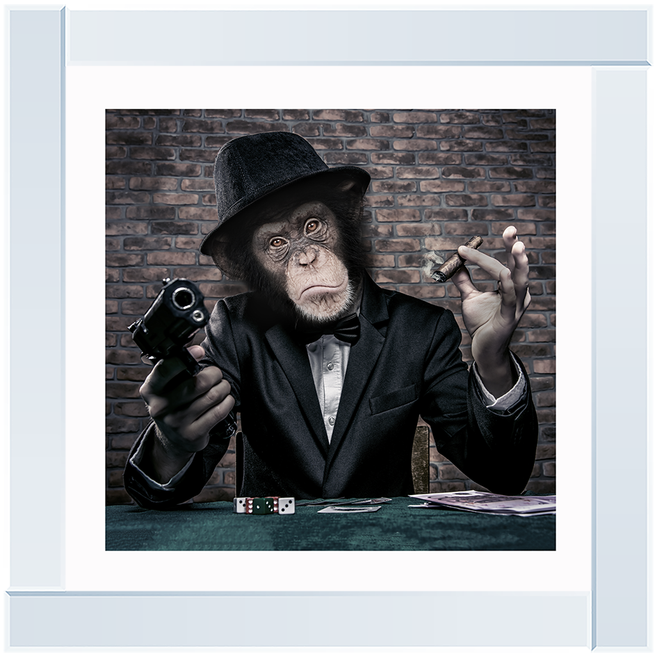 AN178  Gangster Chimp