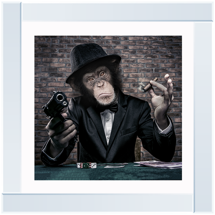 AN178  Gangster Chimp