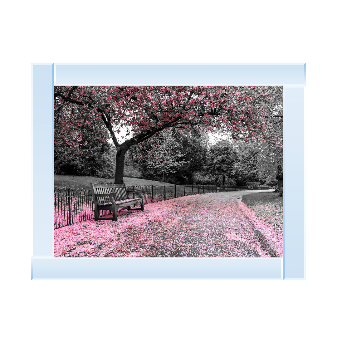LS047 Park bench Pink