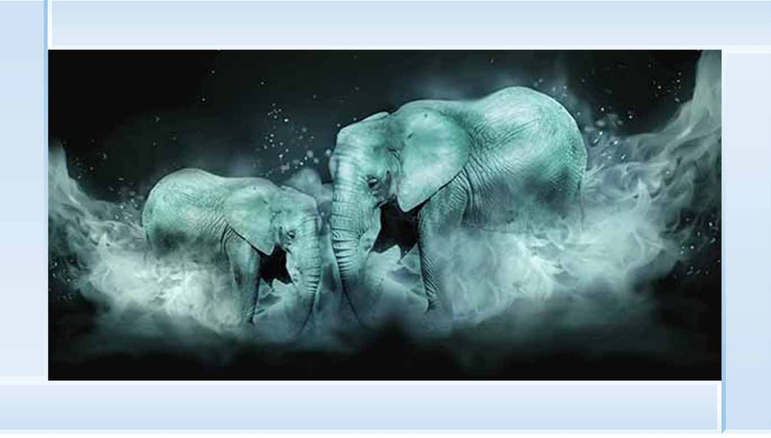 AN760 NIGHT ELEPHANT
