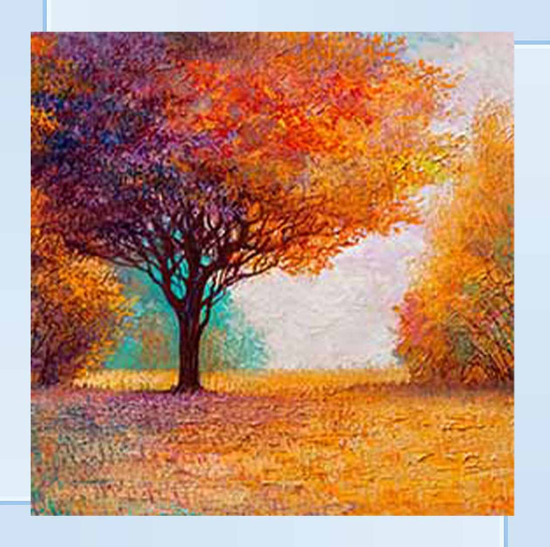 LS355 AUTUMN