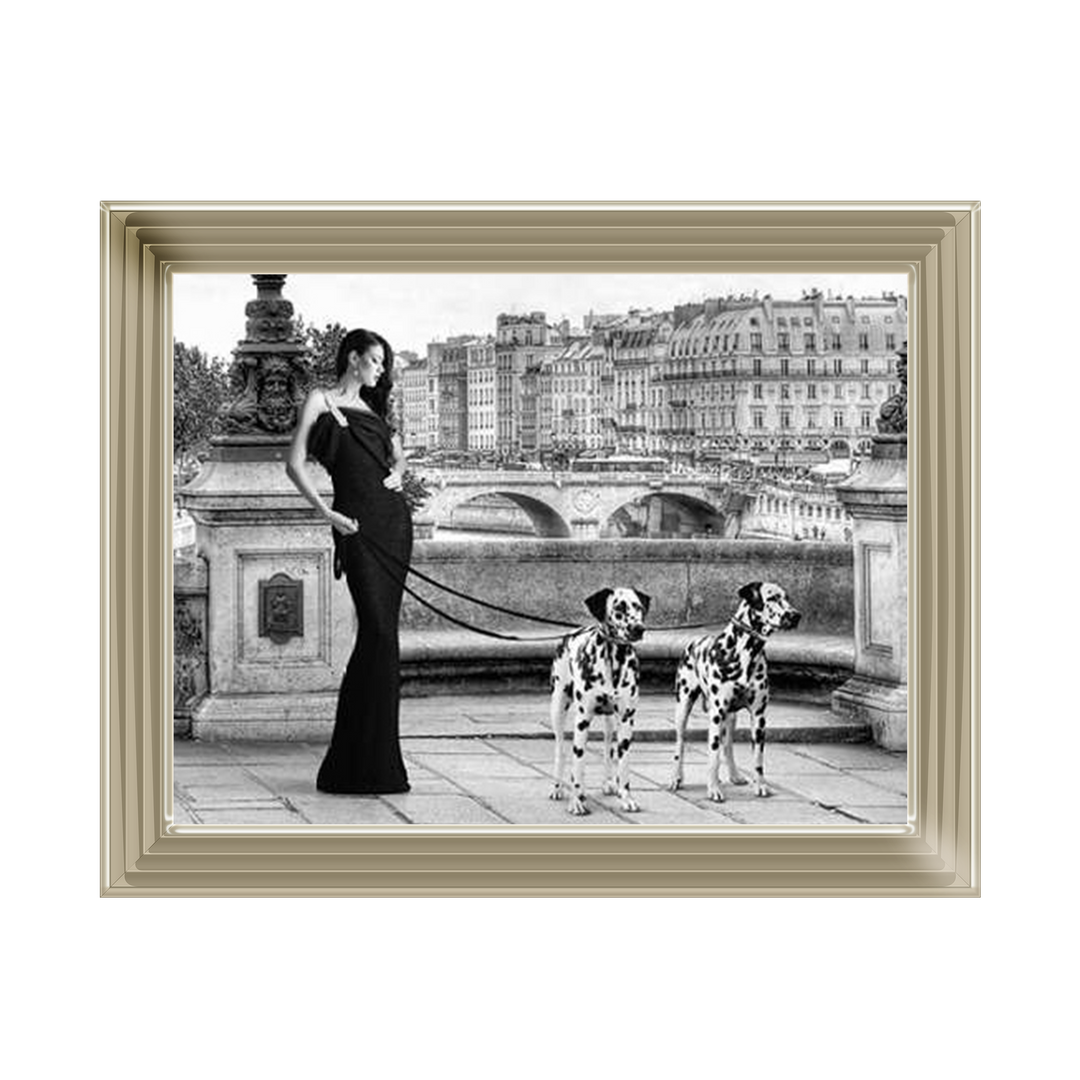 FG016 Dalmatians