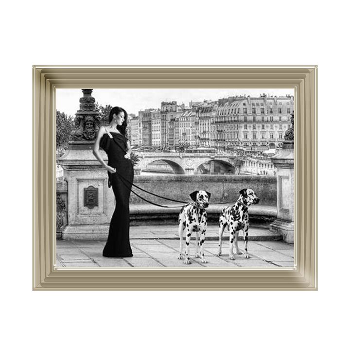 FG016 Dalmatians