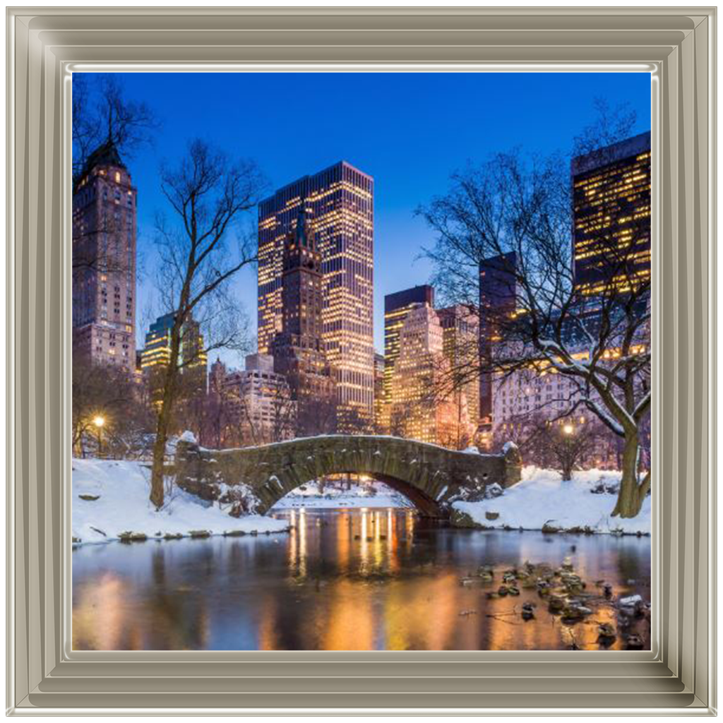 C568 Winter City